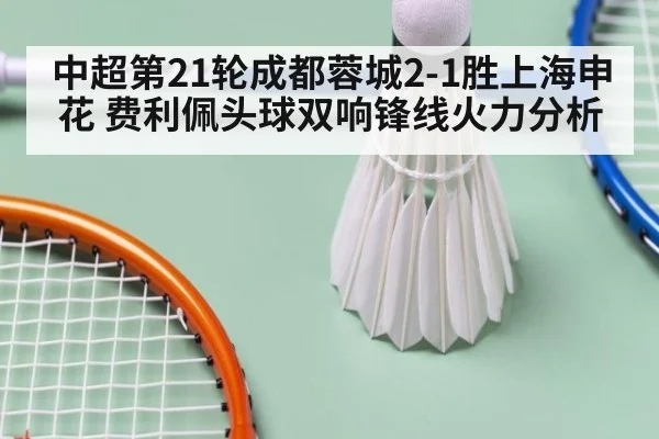 中超第21轮成都蓉城2-1胜上海申花 费利佩头球双响锋线火力分析